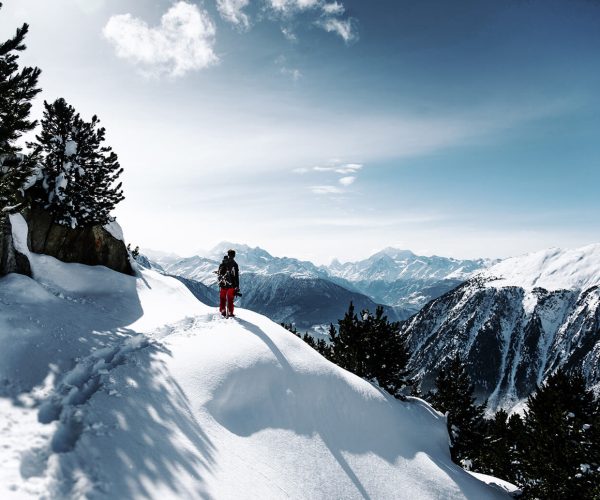 Travel & Hospitality